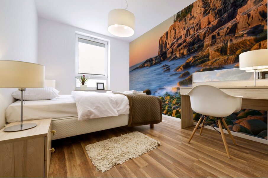 Otter Cliffs No. 1 Mural print