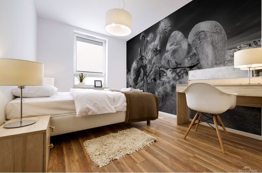 Moonlight on Joshua Tree Infrared Mural print