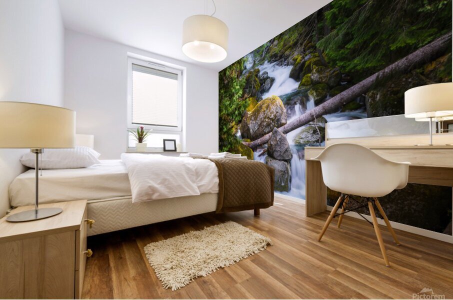 Forest Stream 4183b Mural print