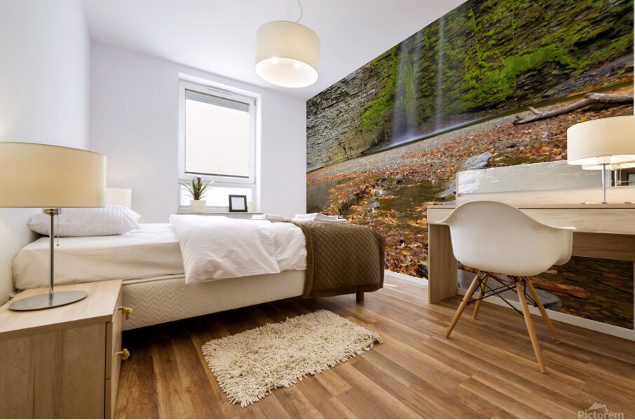 Eagle Cliff Falls Mural print