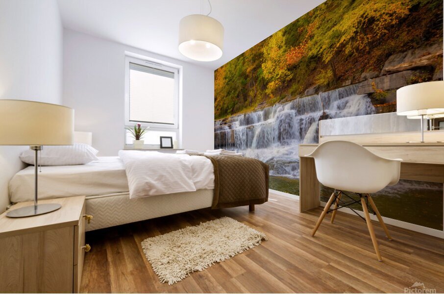 Taughannock Lower Falls  Mural print