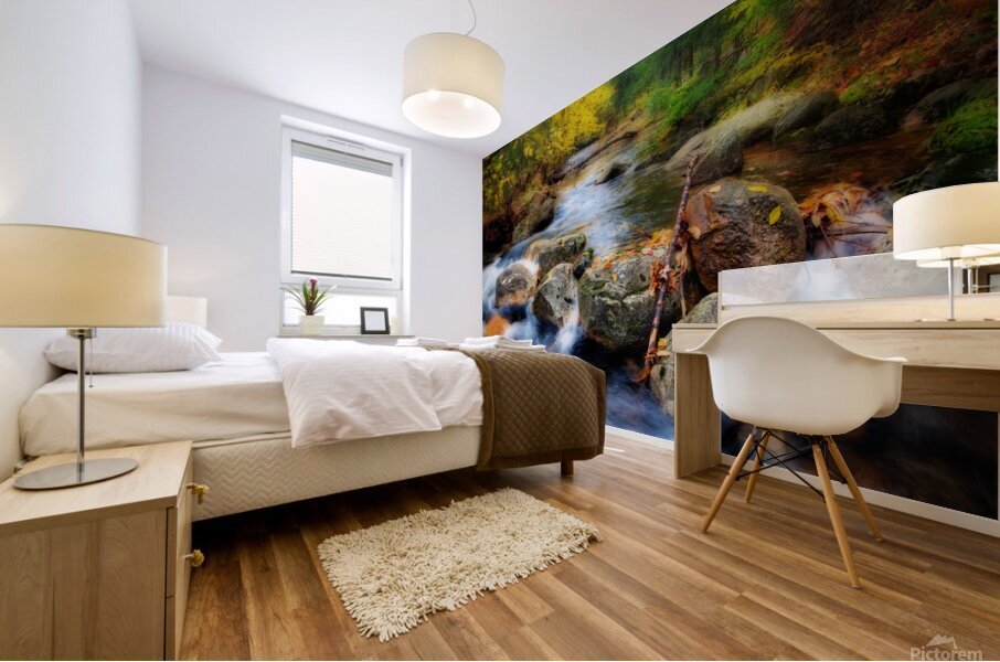 Coxing Kill  Mural print