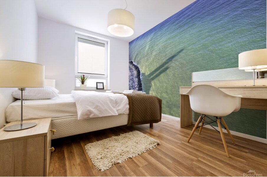 Montauk Lighthouse Casting a Shadow Mural print