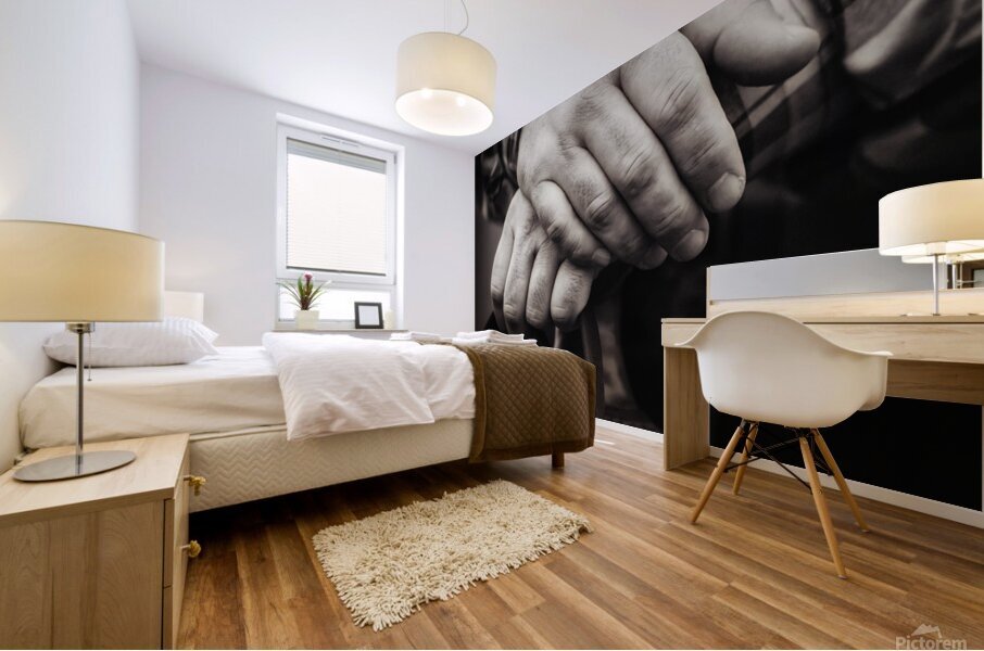 Hands No. 1 Mural print
