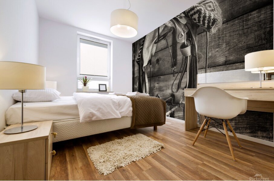 Saddle B W Mural print