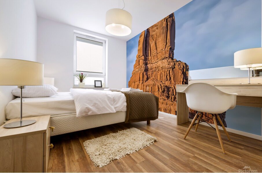 Owl Rock Mural print