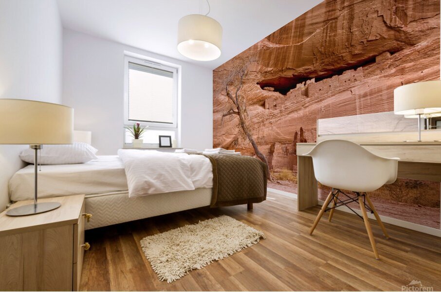 Faded Civilization Mural print