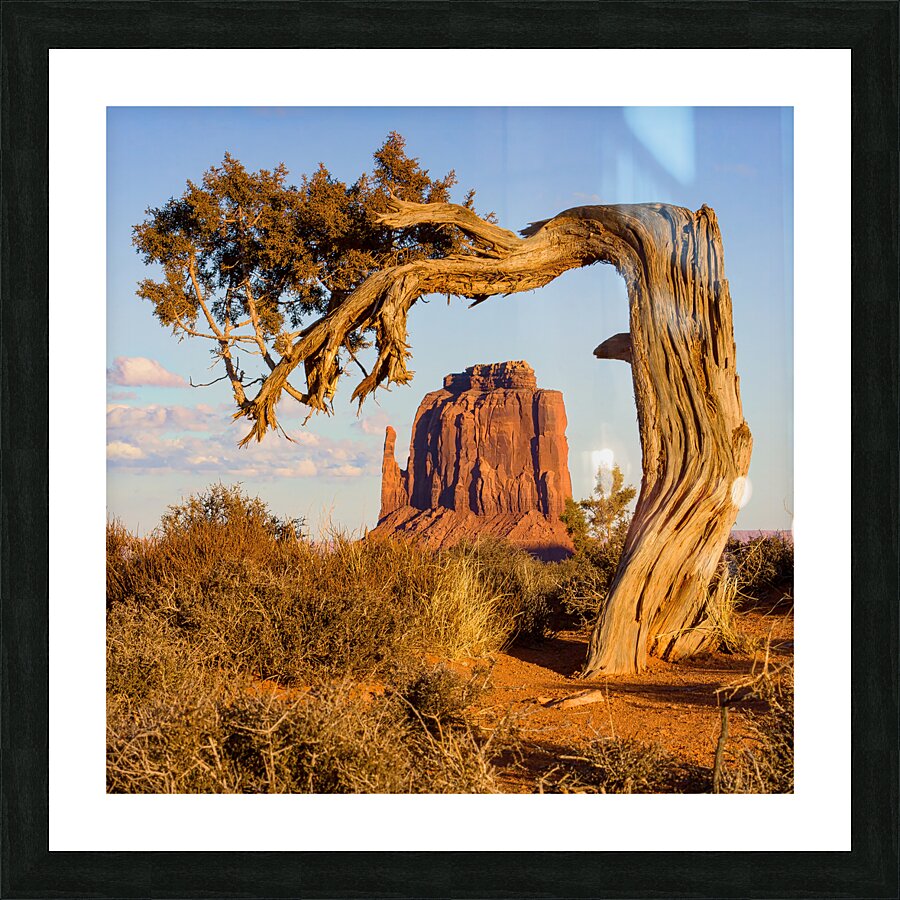 East Mitten View Picture Frame print