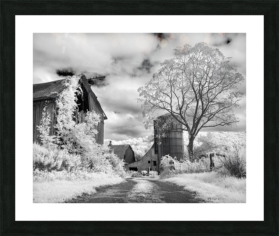 Yetters Farm Infrared Picture Frame print