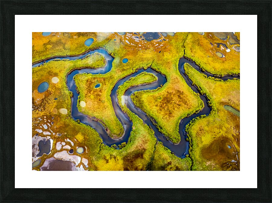 Meandering Stream Picture Frame print