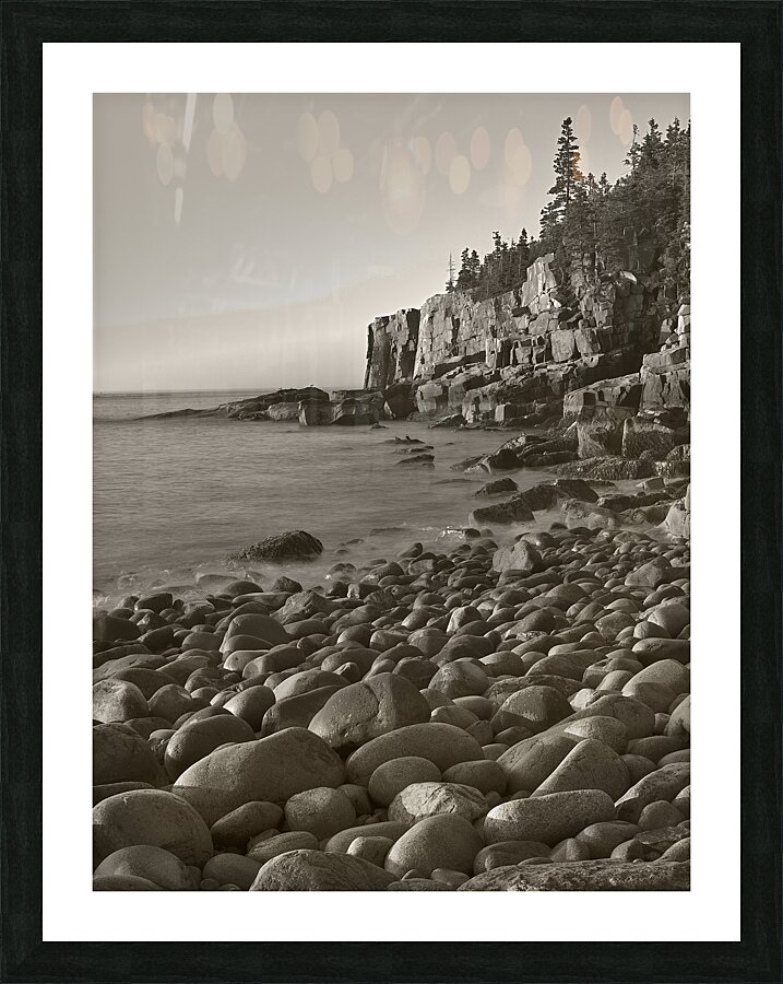Otter Cliffs B W Picture Frame print