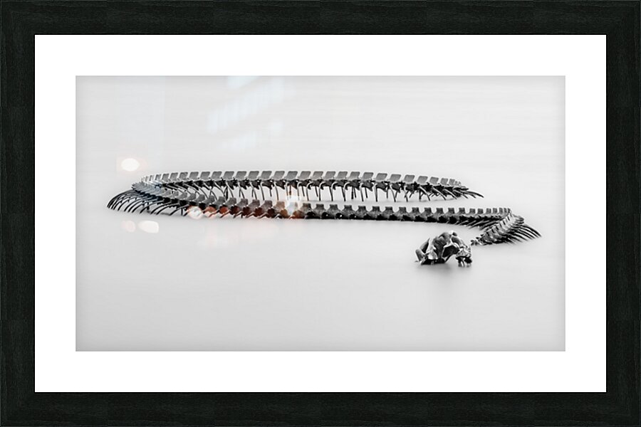 Serpent d’Ocean B W Picture Frame print