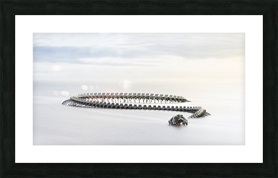 Serpent d’Ocean Picture Frame print