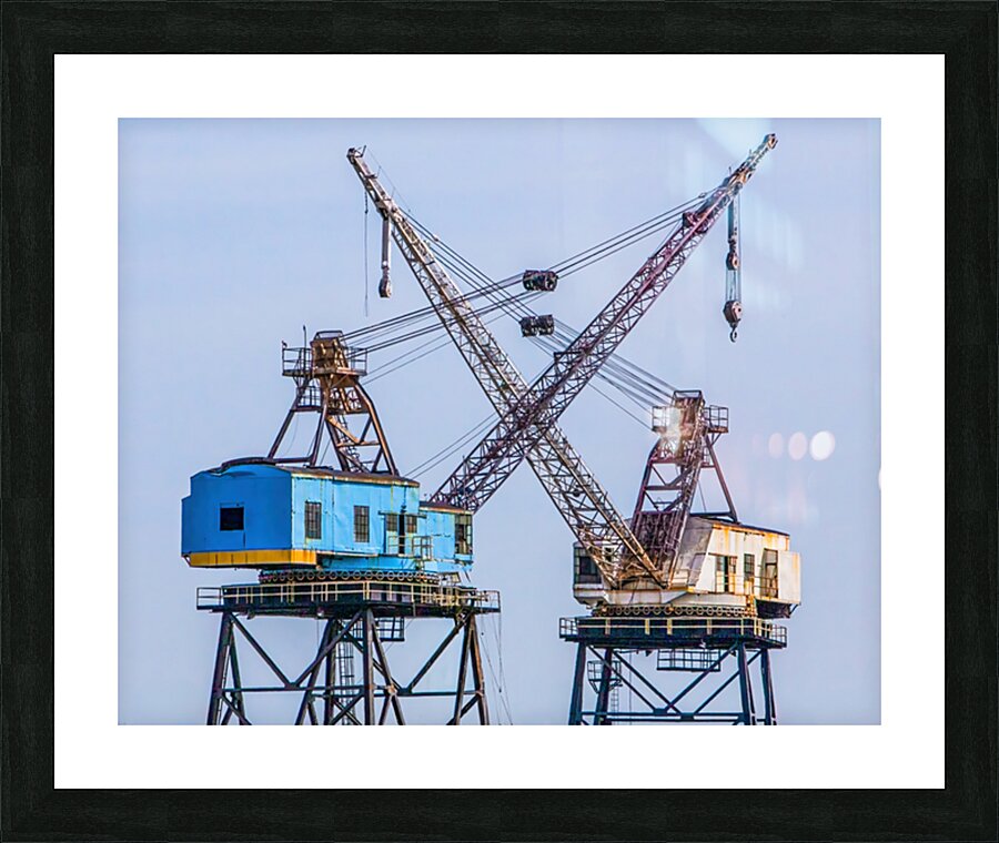 Giants Picture Frame print