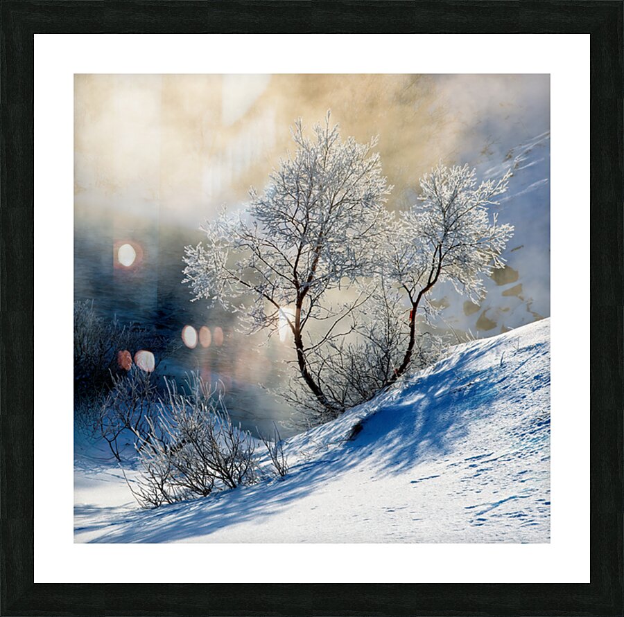 Frost Picture Frame print