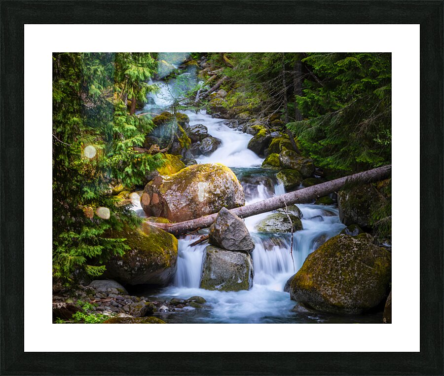 Forest Stream 4183b Picture Frame print