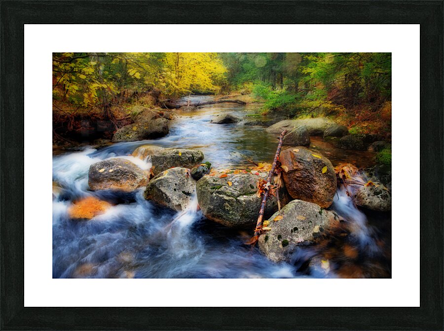Coxing Kill  Picture Frame print
