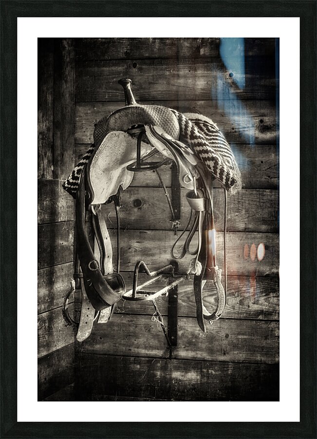 Saddle B W Picture Frame print