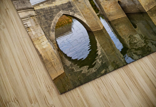 Chateau de Chenonceau Reflection Jerry Fornarotto puzzle