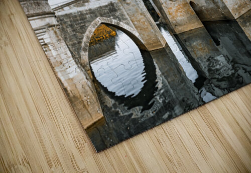 Chateau de Chenonceau Reflection Jerry Fornarotto puzzle