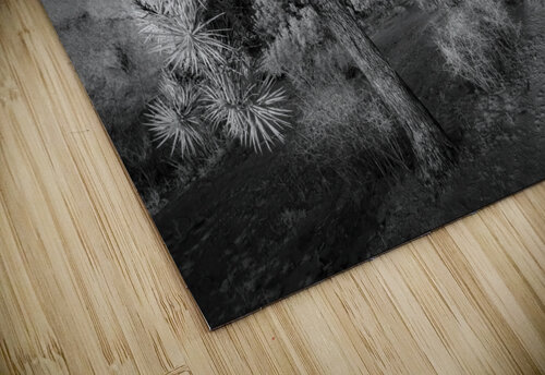 Moonlight on Joshua Tree Infrared Jerry Fornarotto puzzle