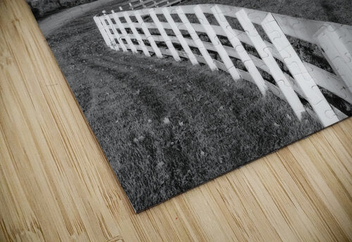 Silos and Fence B W Jerry Fornarotto puzzle