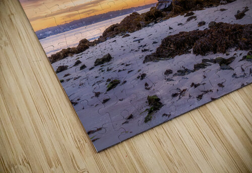 Willard Beach Shack Jerry Fornarotto puzzle