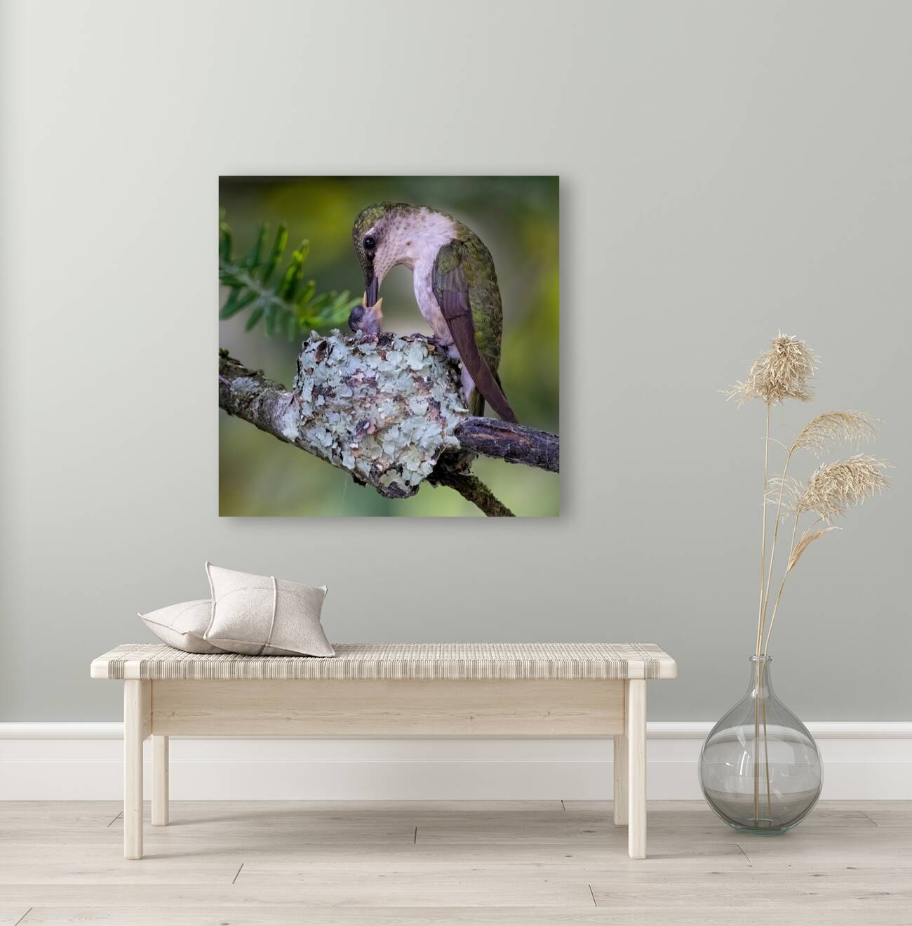 Ruby-throated Hummingbird Feed Chick Reproduction