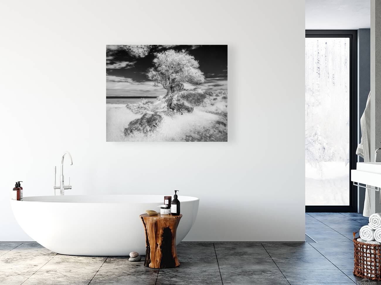 Turtle Back Hill Tree Infrared Reproduction