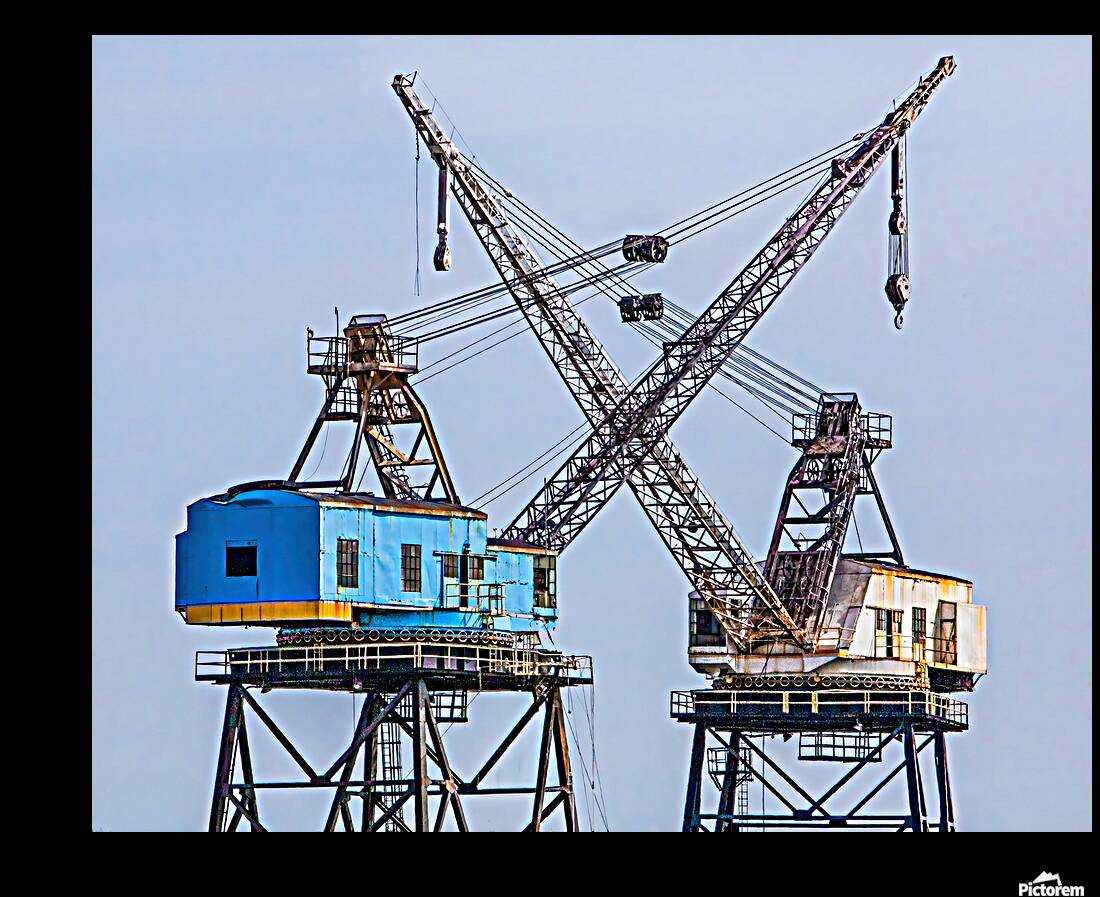 Giants Reproduction