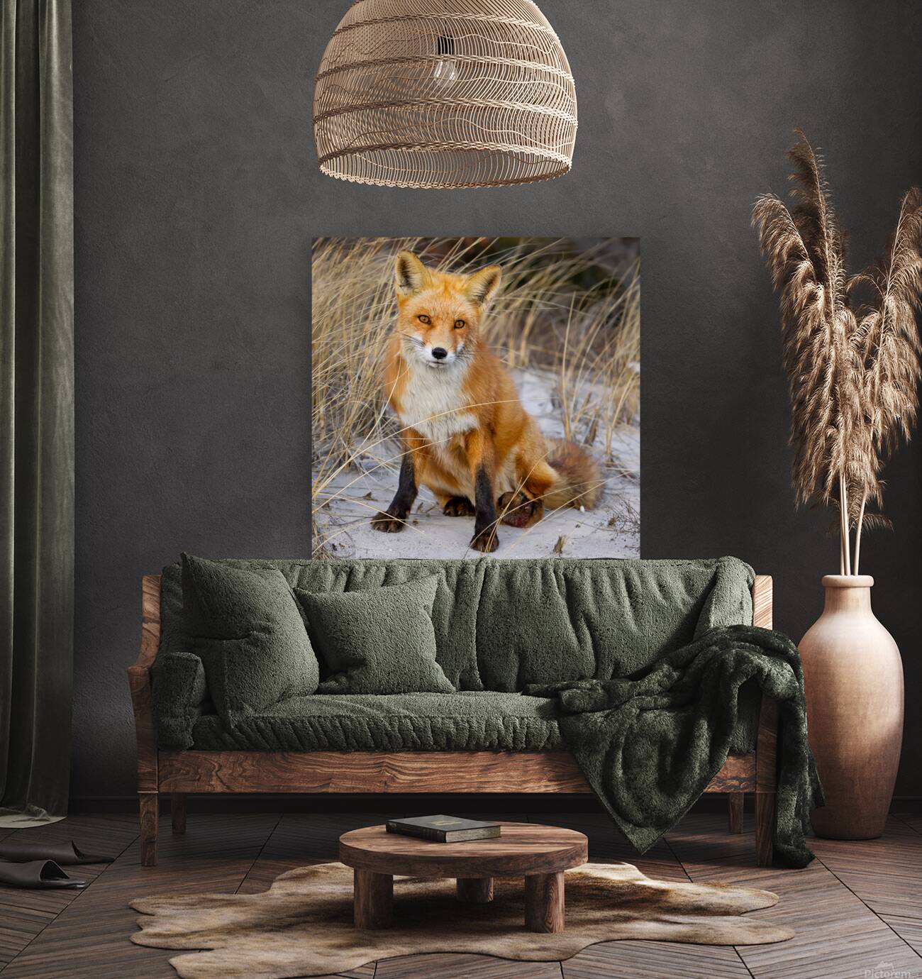 Red Fox Sitting Reproduction
