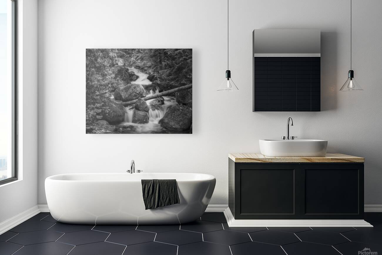 Forest Stream B W 4183b Reproduction