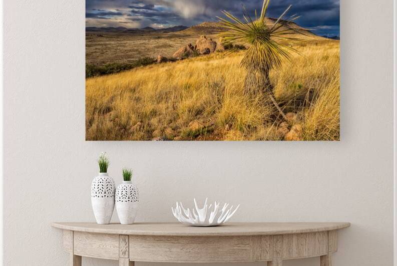 Storm at City of Rocks State Park by Jerry Fornarotto