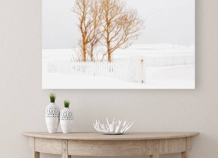 Tree Fence Snow by Jerry Fornarotto
