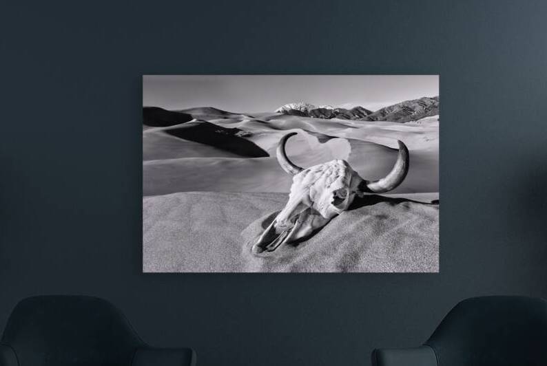 Skull at the Great Sand Dunes B W by Jerry Fornarotto