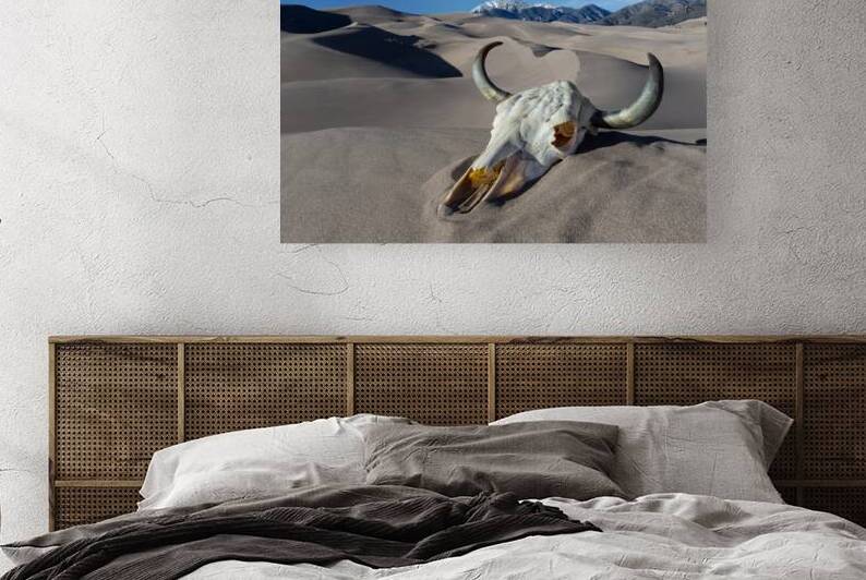 Skull at the Great Sand Dunes by Jerry Fornarotto