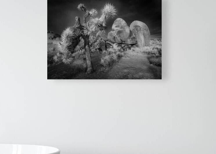 Moonlight on Joshua Tree Infrared by Jerry Fornarotto