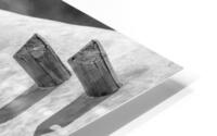 Abobe Vigas B W HD Metal print