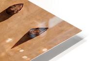 Window and Vigas HD Metal print
