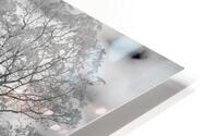 Yetters Farm Infrared HD Metal print