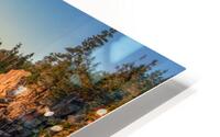 Otter Cliffs No. 1 HD Metal print