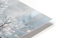 Frost BW HD Metal print