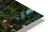 Forest Stream 4183b HD Metal print