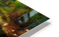 Coxing Kill  HD Metal print