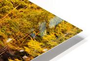 Buttermilk Falls HD Metal print