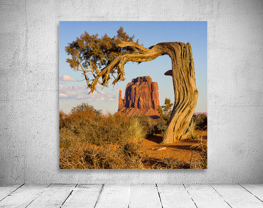 East Mitten View Wall Preview