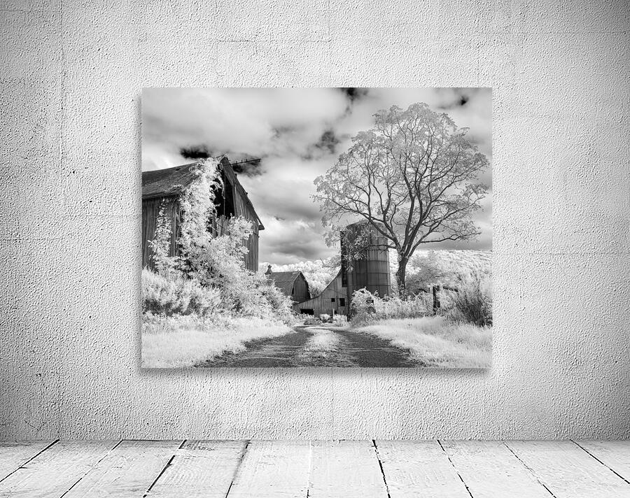 Yetters Farm Infrared Wall Preview
