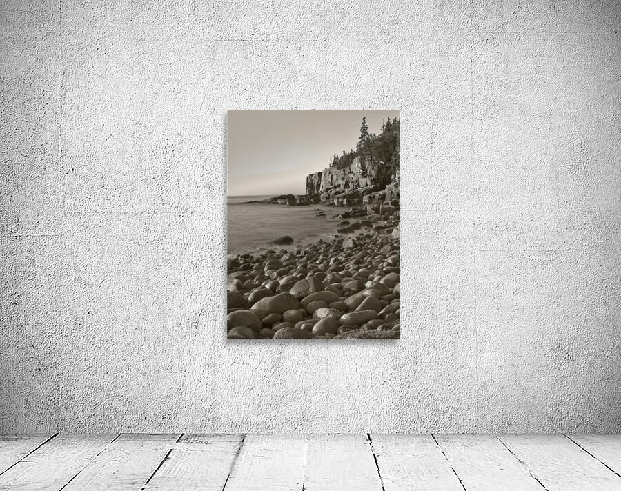 Otter Cliffs B W Wall Preview