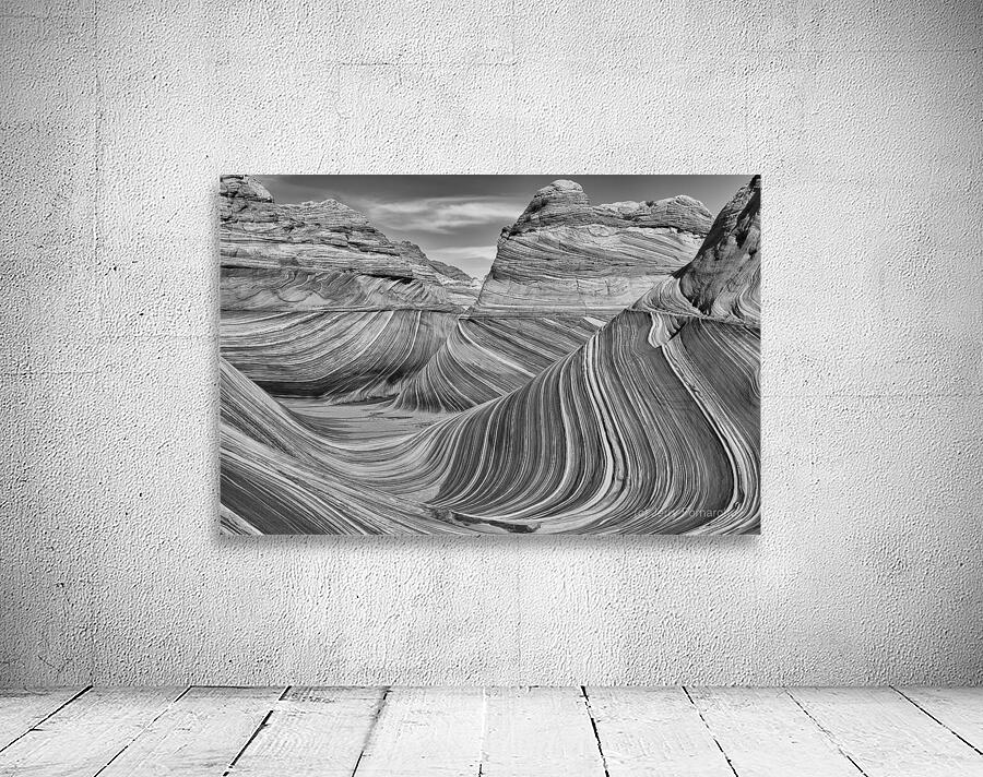 The Wave B W Wall Preview