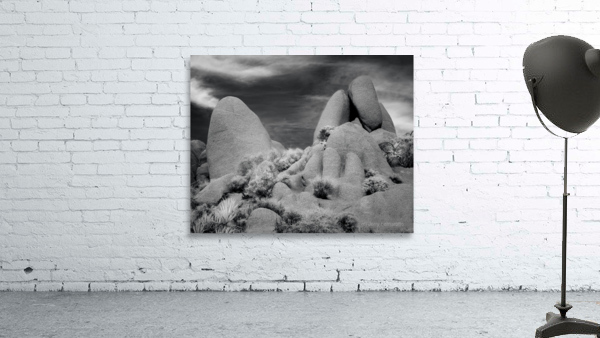 Joshua Tree Desert Rocks Infrared Wall Preview